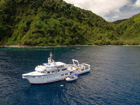 Argo Liveaboard Cocos Island 