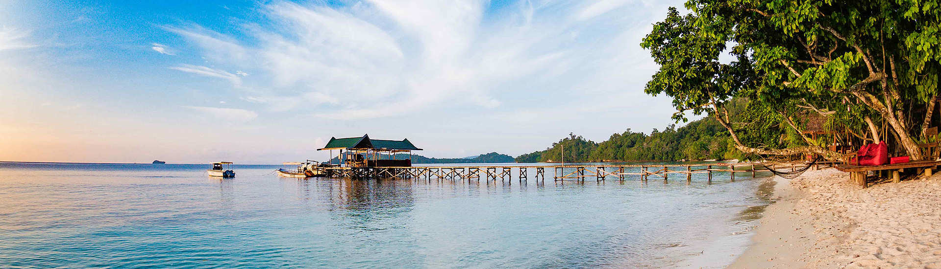 Jetty · Raja Ampat Biodiversity Nature 