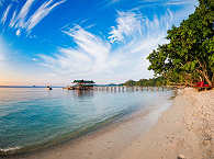 Jetty · Raja Ampat Biodiversity Nature 