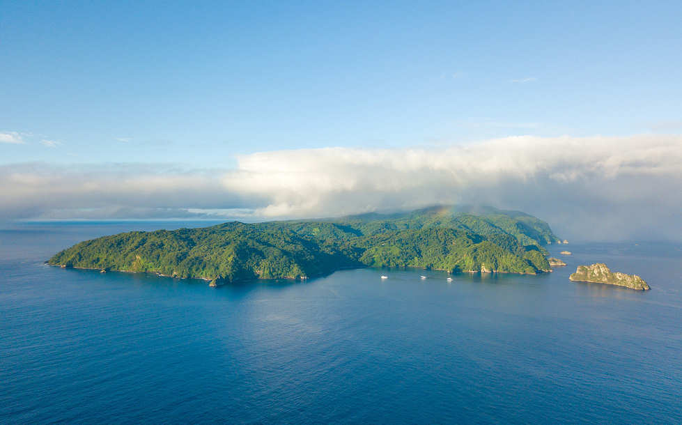 Cocos Island · Tauchen an der Insel der Haie 