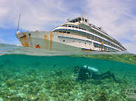 Lucky Forever Wreck · Tauchen Cagayan Island 