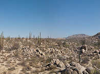 Niederkalifornien · Baja California 