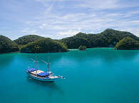 Palau Siren an den Rock Islands · Tauchsafaris Palau 