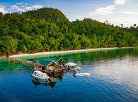 Biodiversity-Jetty  · Tauchresort Raja Ampat 