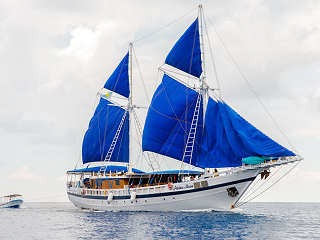 Palau Siren · Masterfleet Liveaboards 