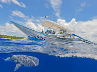 Tauchsafaris Philippinen · Easy Diving Safariboot Goya 